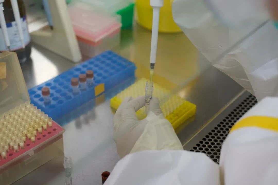 核酸檢測(cè)又降價(jià)！多地增設(shè)24小時(shí)檢測(cè)服務(wù)機(jī)構(gòu)